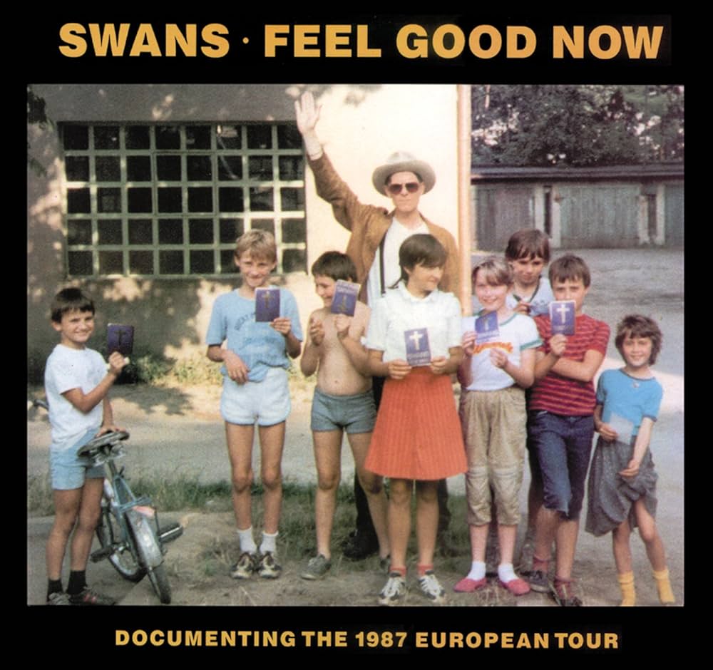 Swans - Feel Good Now (2LP)