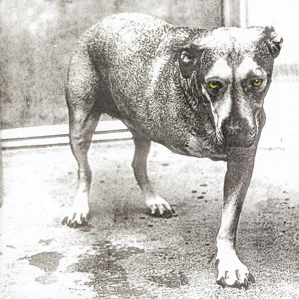 Alice In Chains - Tripod (Green And Pruple Vinyl)