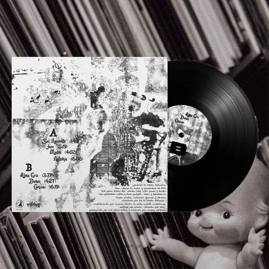 The Polar Dream - Alma Gris (Black Vinyl)