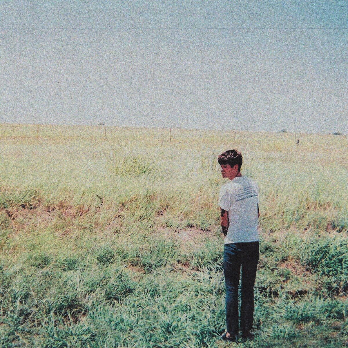 Whirr & Nothing (1LP Black Limited 1000 Copies)