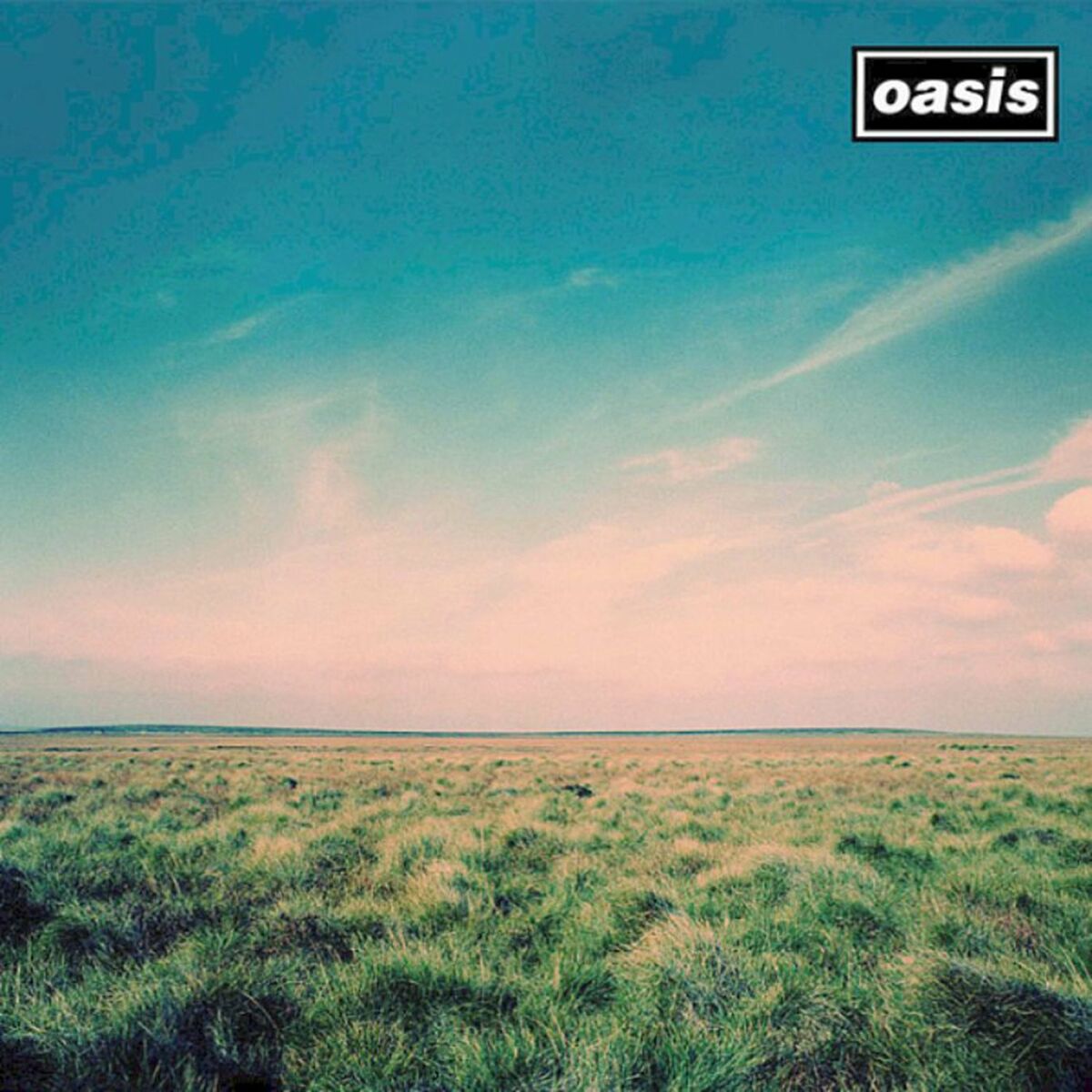 Oasis - Whatever (Anniversary Edition Numered)