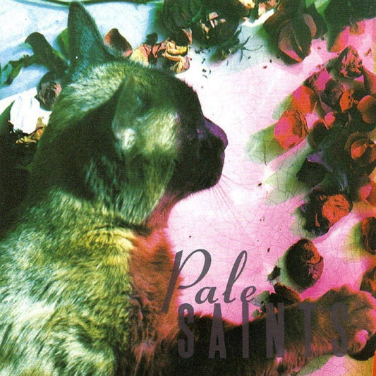 Pale Saints - The Confort Of Madness