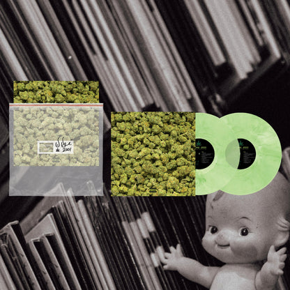 Dr. Dre - 2001 (25th Anniversary Zip-lock Bag 2LPs Green Colored)