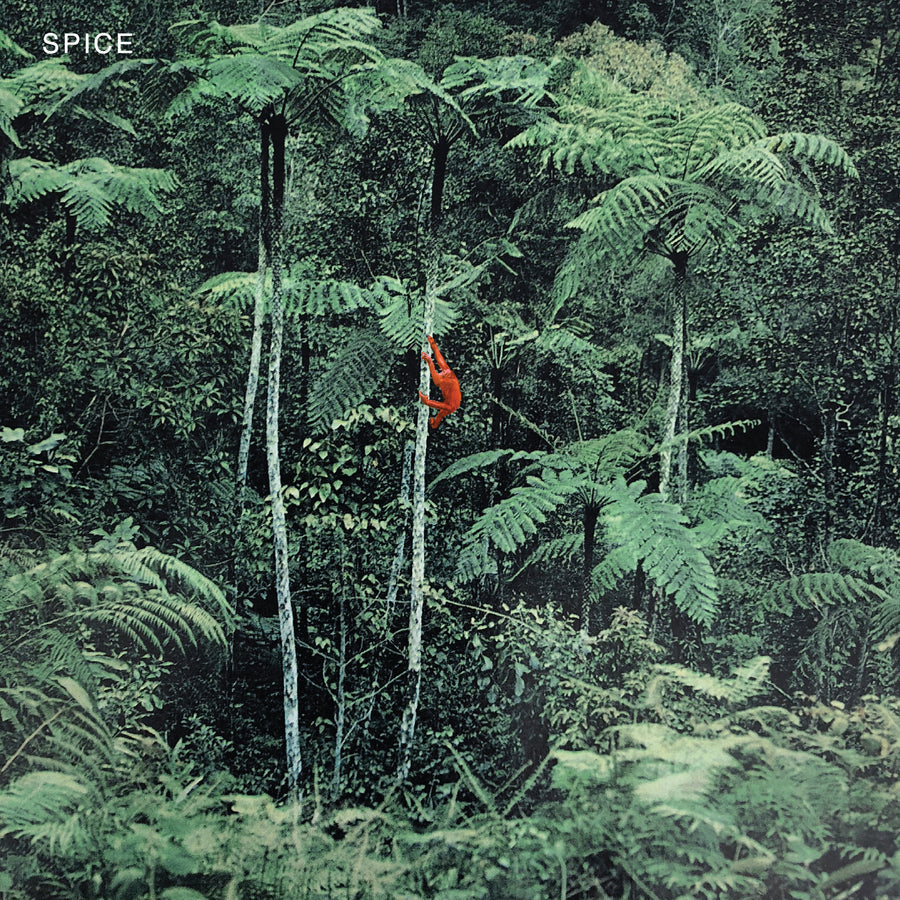 Spice - Spice (Clear Vinyl)