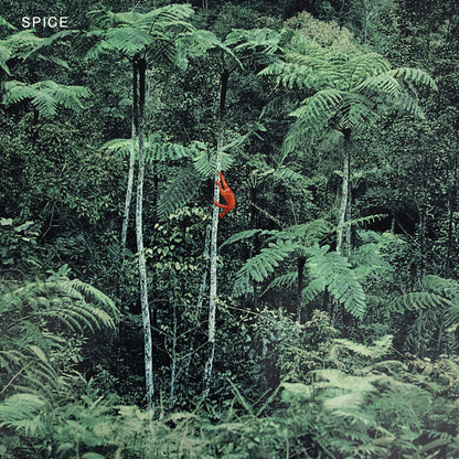 Spice - Spice (Clear Vinyl)