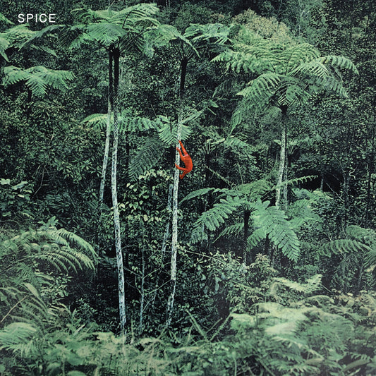 Spice - Spice (Clear Vinyl)