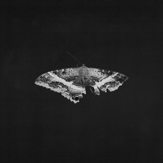 Kendrick Lamar – To Pimp a Butterfly (Colored Grey Marbled)