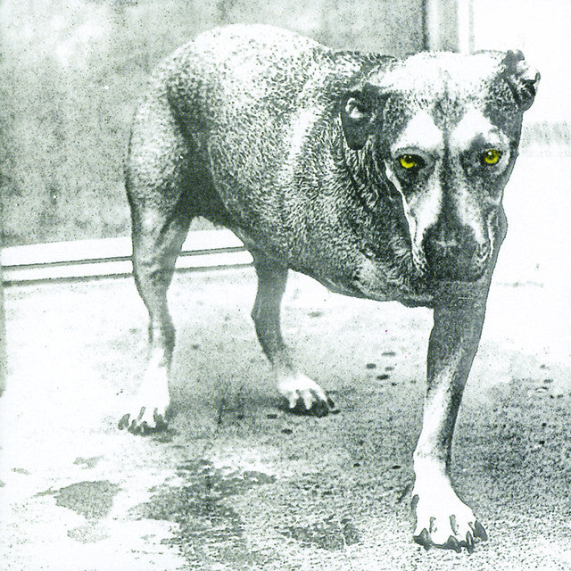 Alice In Chains - Alice In Chains (Tripod) (Bootleg 2LP Colored)
