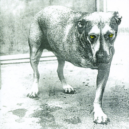 Alice In Chains - Alice In Chains (Tripod) (Bootleg 2LP Colored)