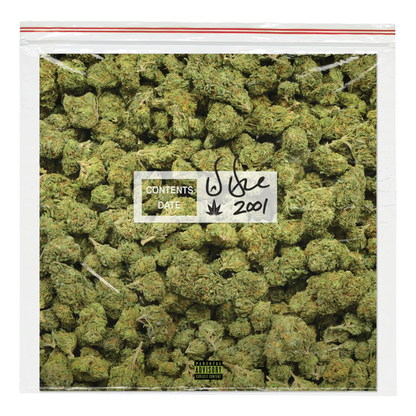 Dr. Dre - 2001 (25th Anniversary Zip-lock Bag 2LPs Green Colored)