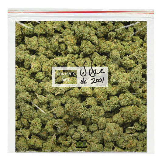 Dr. Dre - 2001 (25th Anniversary Zip-lock Bag 2LPs Green Colored)
