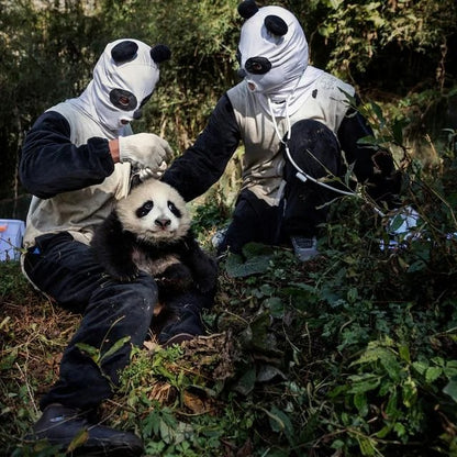 Mengers - Flavio (Clear Vinyl Numerado a 300 Copias)