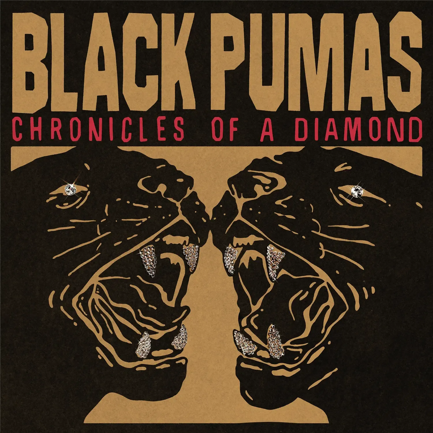 Black Pumas - Chronicles of a Diamond (Clear Vinyl)