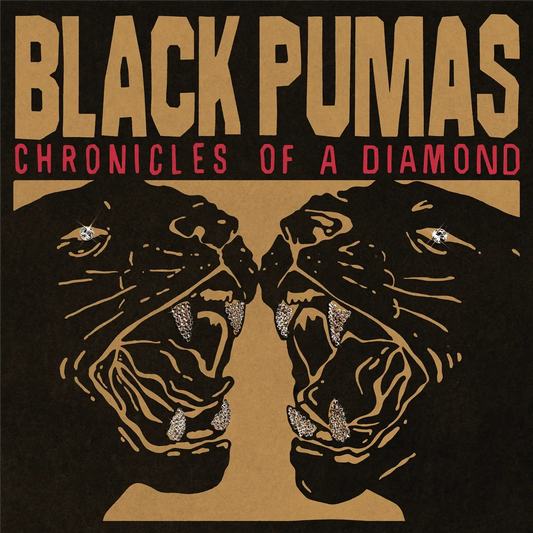 Black Pumas - Chronicles of a Diamond (Clear Vinyl)