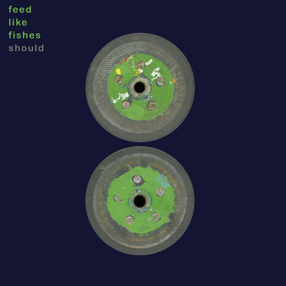 Should - Feed Like Fishes (Spring Green 2LP)