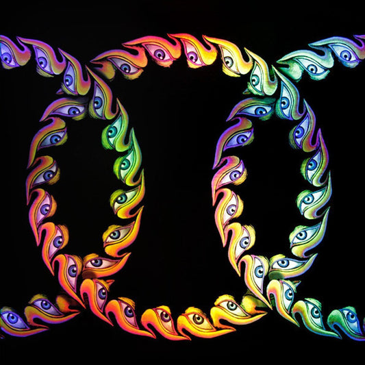 Tool - Lateralus (2LP Picture Disc)